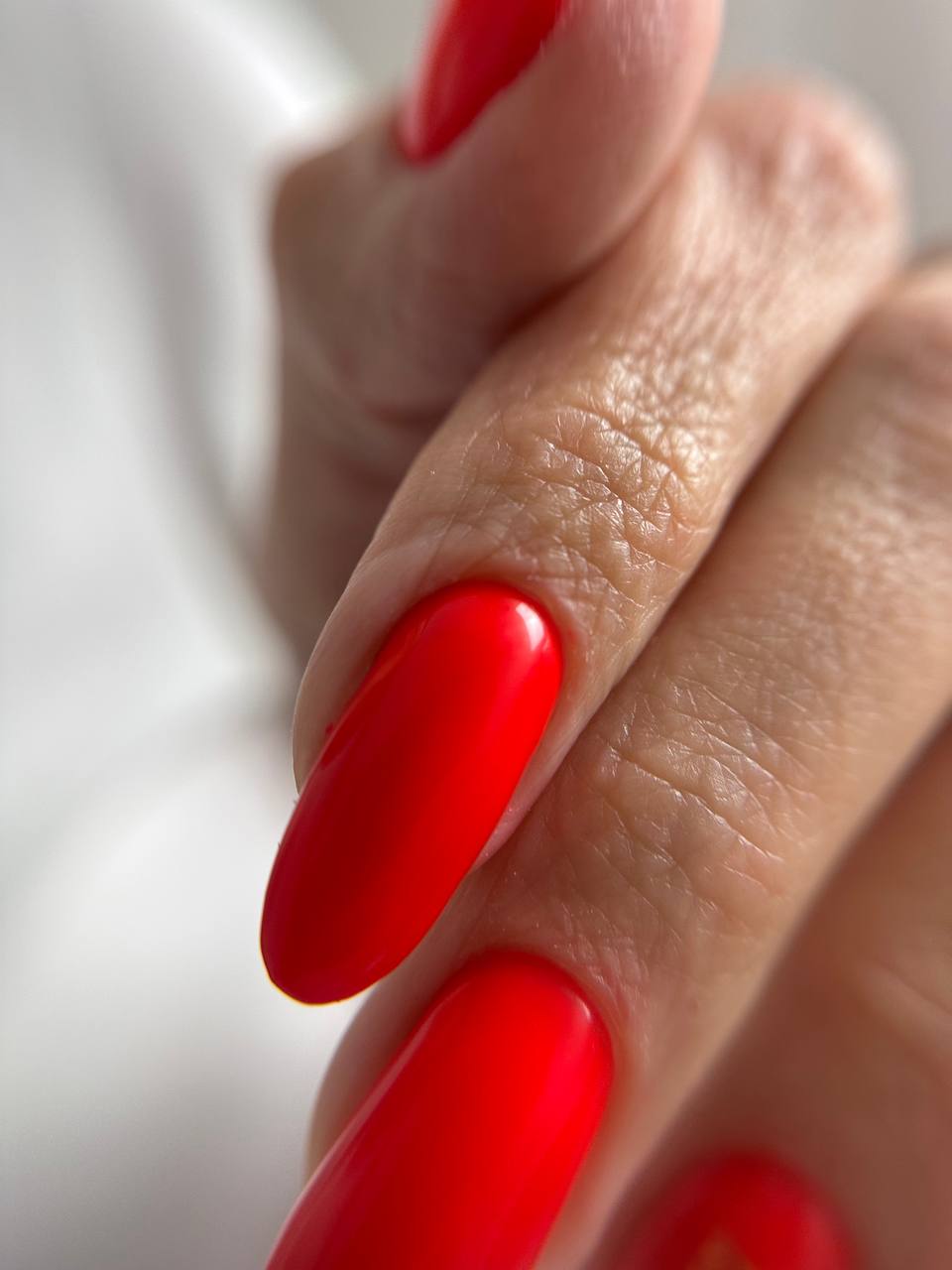 1:1 — E-file & BIAB application